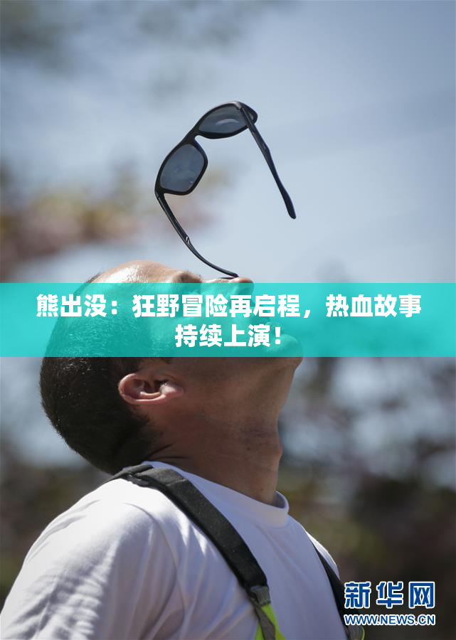 熊出没：狂野冒险再启程，热血故事持续上演！