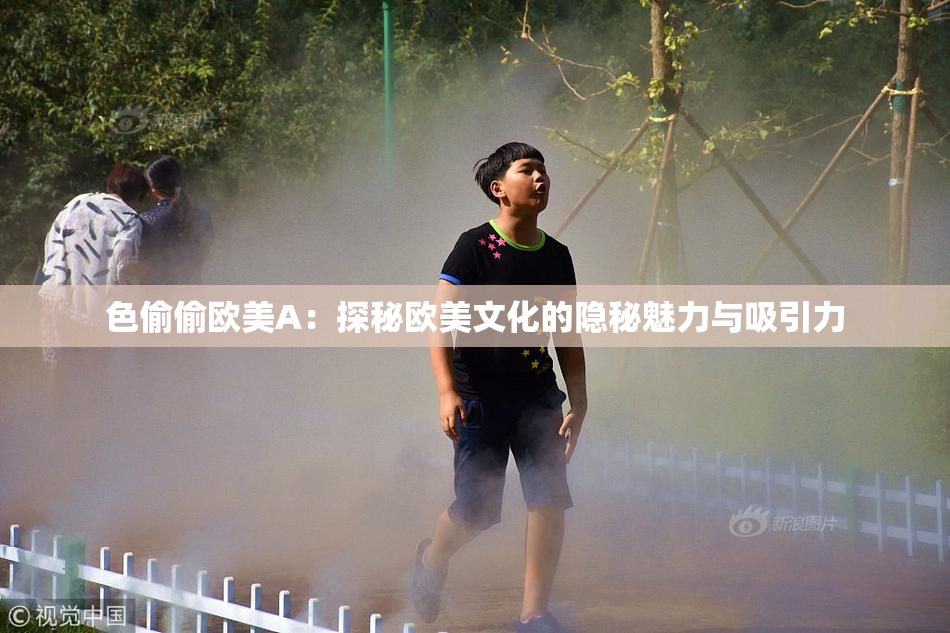 色偷偷欧美A：探秘欧美文化的隐秘魅力与吸引力