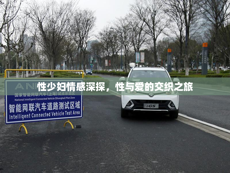 性少妇情感深探，性与爱的交织之旅