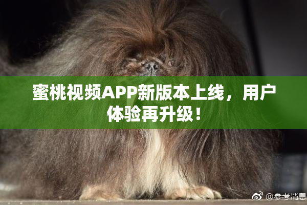 蜜桃视频APP新版本上线，用户体验再升级！