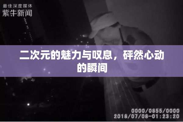 二次元的魅力与叹息，砰然心动的瞬间