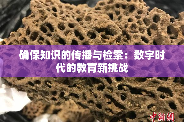 确保知识的传播与检索：数字时代的教育新挑战