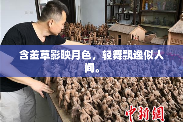 含羞草影映月色，轻舞飘逸似人间。