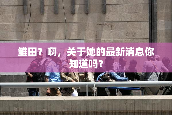 雏田？啊，关于她的最新消息你知道吗？