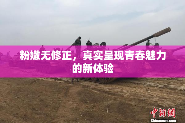 粉嫩无修正，真实呈现青春魅力的新体验