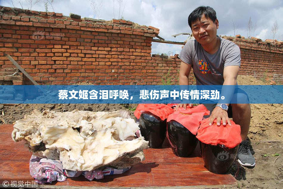 蔡文姬含泪呼唤，悲伤声中传情深劲。
