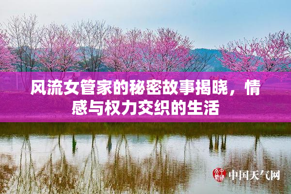 风流女管家的秘密故事揭晓，情感与权力交织的生活