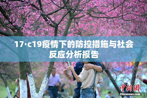 17·c19疫情下的防控措施与社会反应分析报告