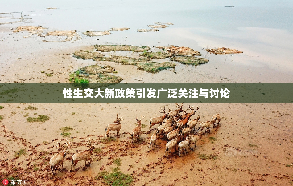 性生交大新政策引发广泛关注与讨论