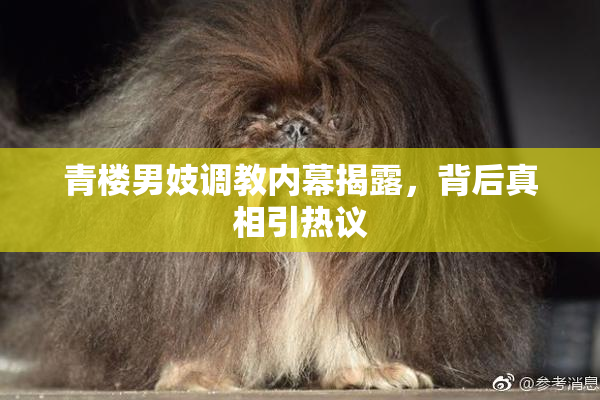 青楼男妓调教内幕揭露，背后真相引热议