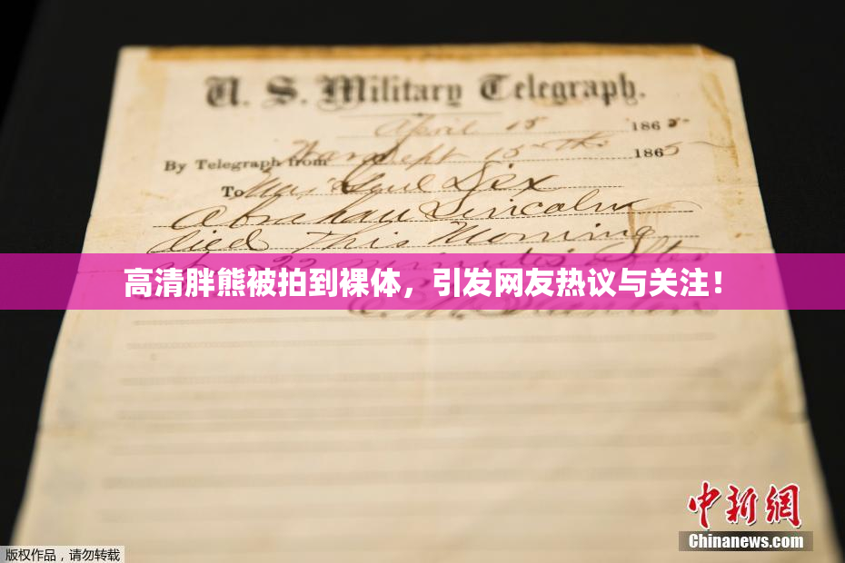 高清胖熊被拍到裸体，引发网友热议与关注！