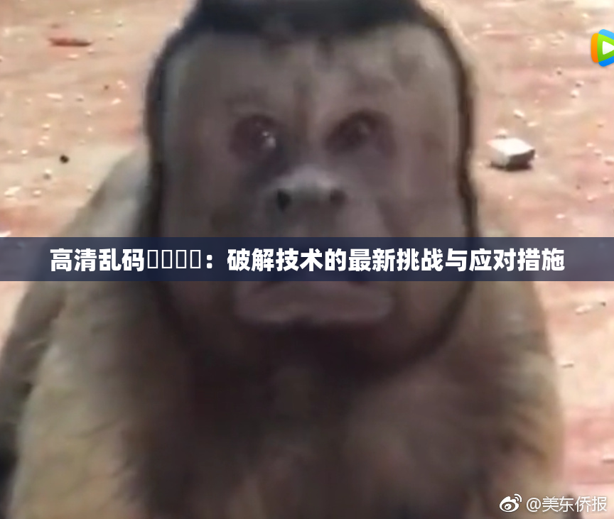 高清乱码❌‌❌‌：破解技术的最新挑战与应对措施