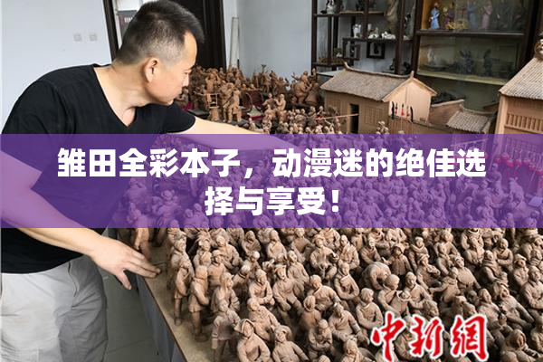 雏田全彩本子，动漫迷的绝佳选择与享受！