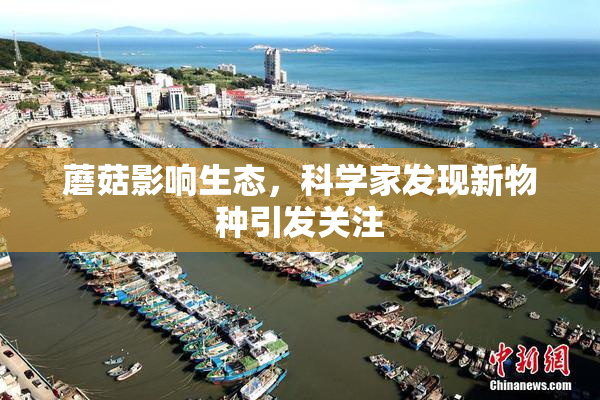 蘑菇影响生态，科学家发现新物种引发关注