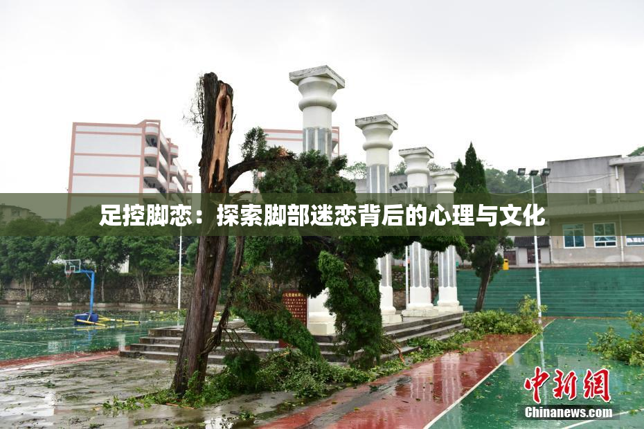足控脚恋：探索脚部迷恋背后的心理与文化