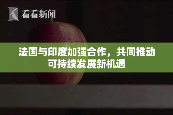法国与印度加强合作，共同推动可持续发展新机遇