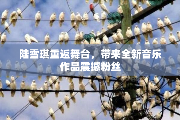 陆雪琪重返舞台，带来全新音乐作品震撼粉丝