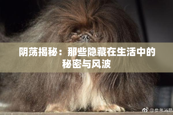 阴荡揭秘：那些隐藏在生活中的秘密与风波