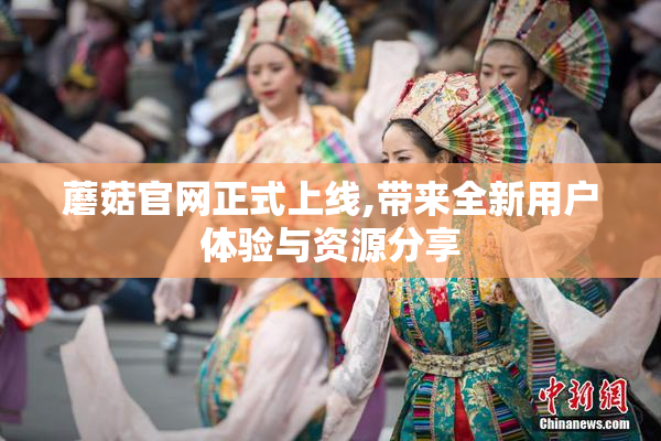 蘑菇官网正式上线,带来全新用户体验与资源分享