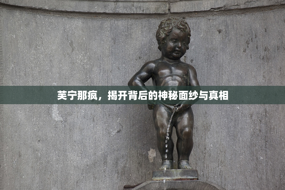 芙宁那疯，揭开背后的神秘面纱与真相