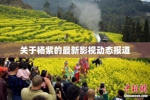关于杨紫的最新影视动态报道
