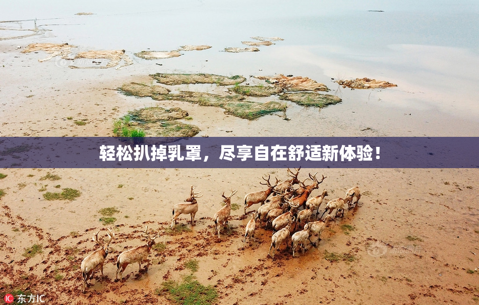 轻松扒掉乳罩，尽享自在舒适新体验！