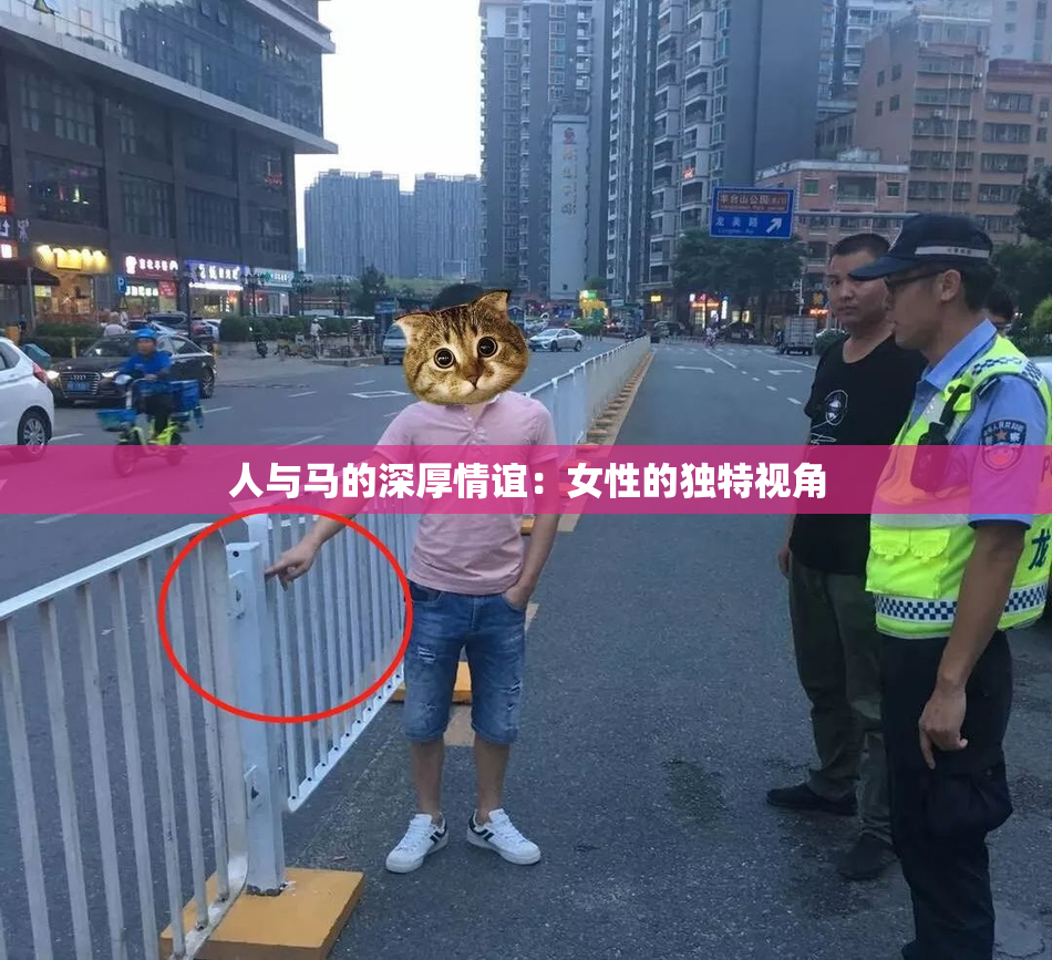 人与马的深厚情谊：女性的独特视角