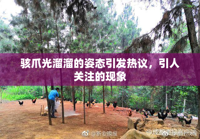骇爪光溜溜的姿态引发热议，引人关注的现象