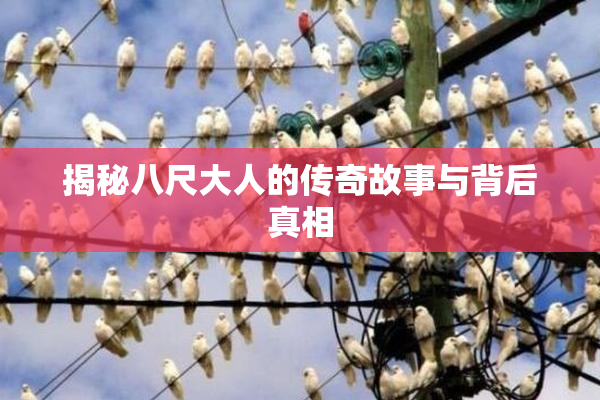 揭秘八尺大人的传奇故事与背后真相