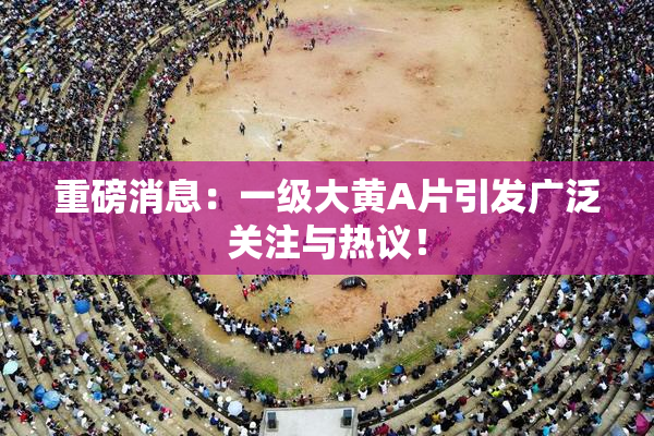 重磅消息：一级大黄A片引发广泛关注与热议！