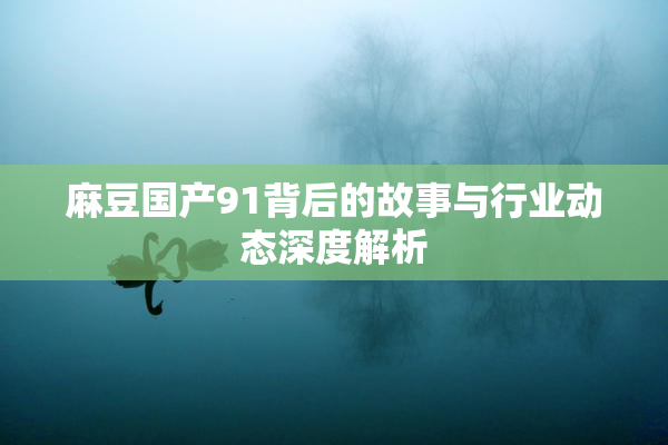 麻豆国产91背后的故事与行业动态深度解析