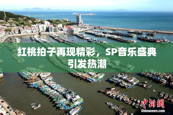 红桃拍子再现精彩，SP音乐盛典引发热潮
