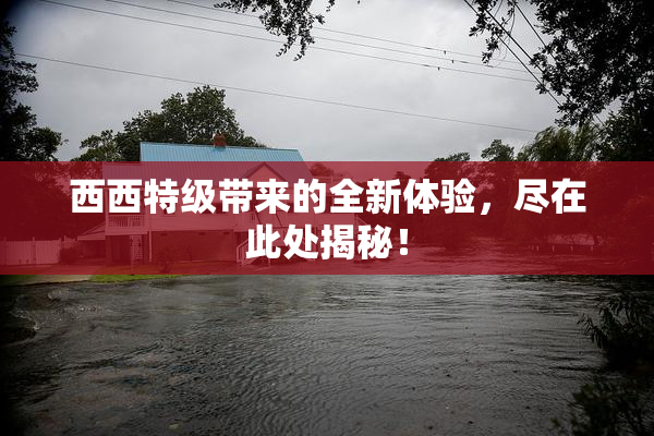 西西特级带来的全新体验，尽在此处揭秘！