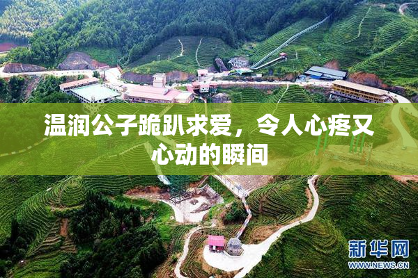 温润公子跪趴求爱，令人心疼又心动的瞬间