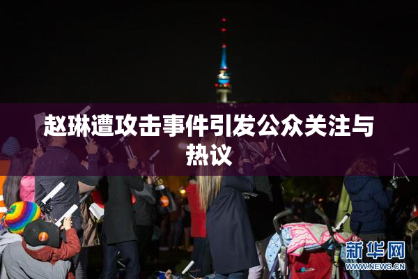 赵琳遭攻击事件引发公众关注与热议