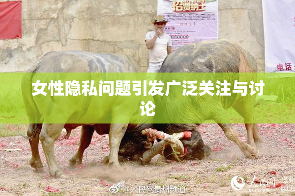 女性隐私问题引发广泛关注与讨论