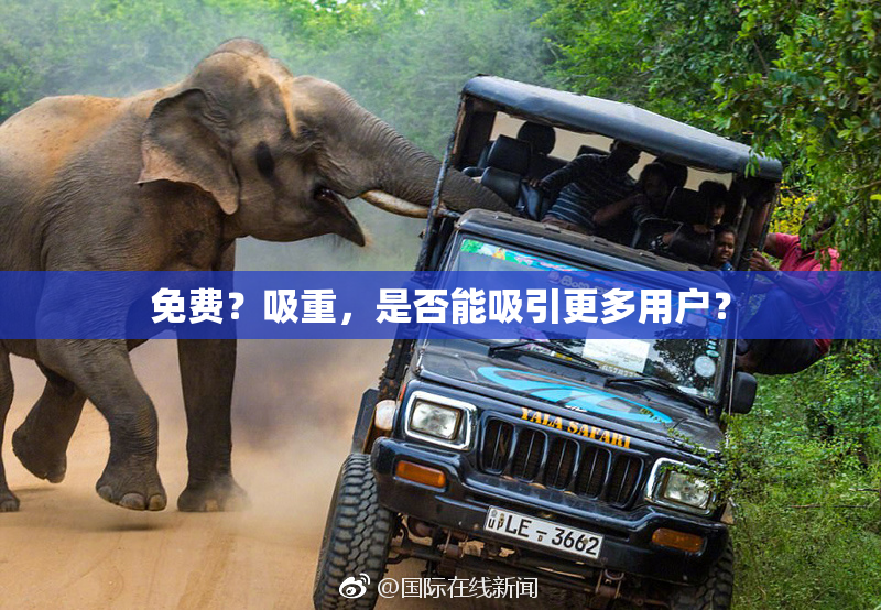免费？吸重，是否能吸引更多用户？