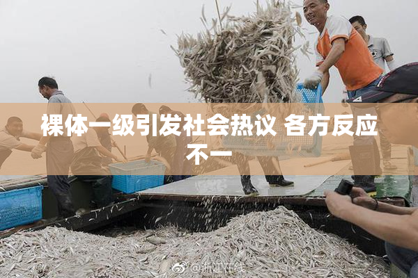 裸体一级引发社会热议 各方反应不一