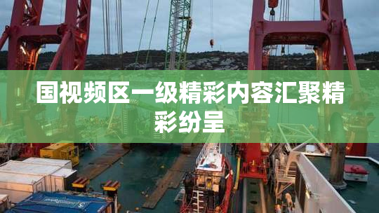 国视频区一级精彩内容汇聚精彩纷呈