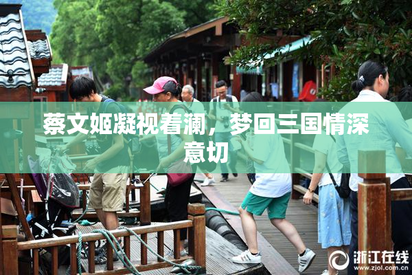 蔡文姬凝视着澜，梦回三国情深意切