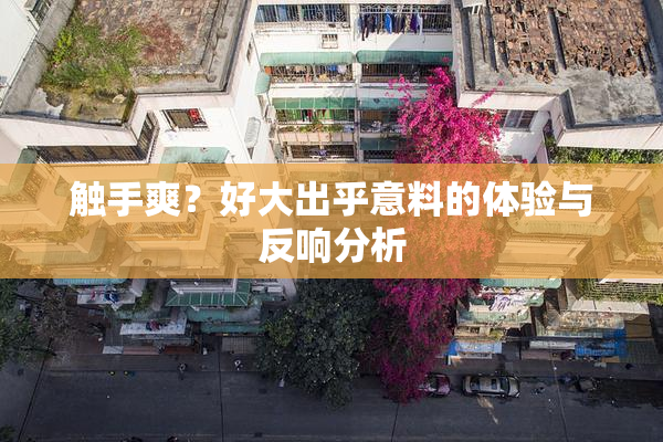 触手爽？好大出乎意料的体验与反响分析