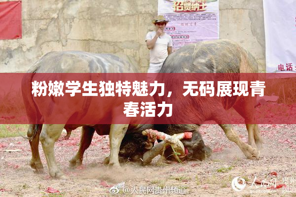 粉嫩学生独特魅力，无码展现青春活力