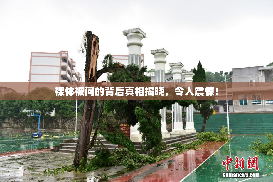 裸体被问的背后真相揭晓，令人震惊！