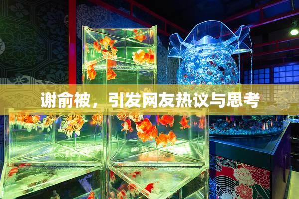 谢俞被，引发网友热议与思考