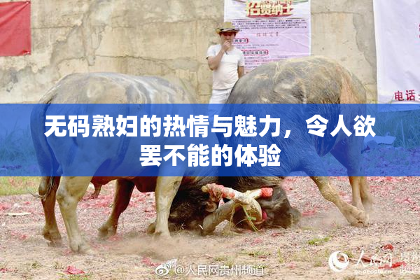 无码熟妇的热情与魅力，令人欲罢不能的体验