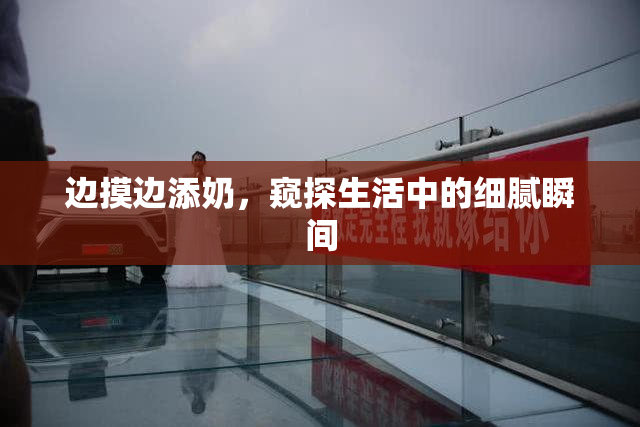 边摸边添奶，窥探生活中的细腻瞬间