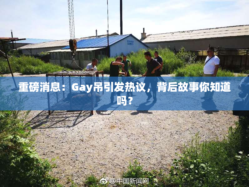 重磅消息：Gay吊引发热议，背后故事你知道吗？