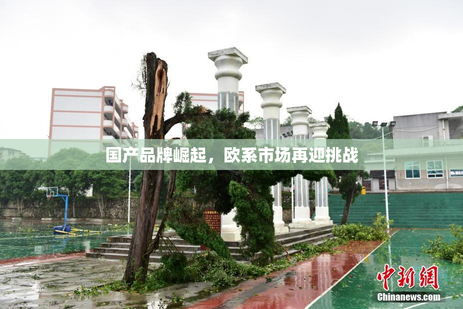 国产品牌崛起，欧系市场再迎挑战