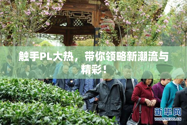 触手PL大热，带你领略新潮流与精彩！