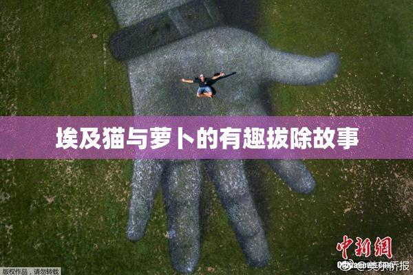 埃及猫与萝卜的有趣拔除故事